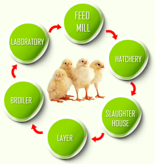 Manufaturing Process