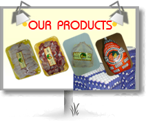 Our Products