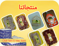 Our Projects